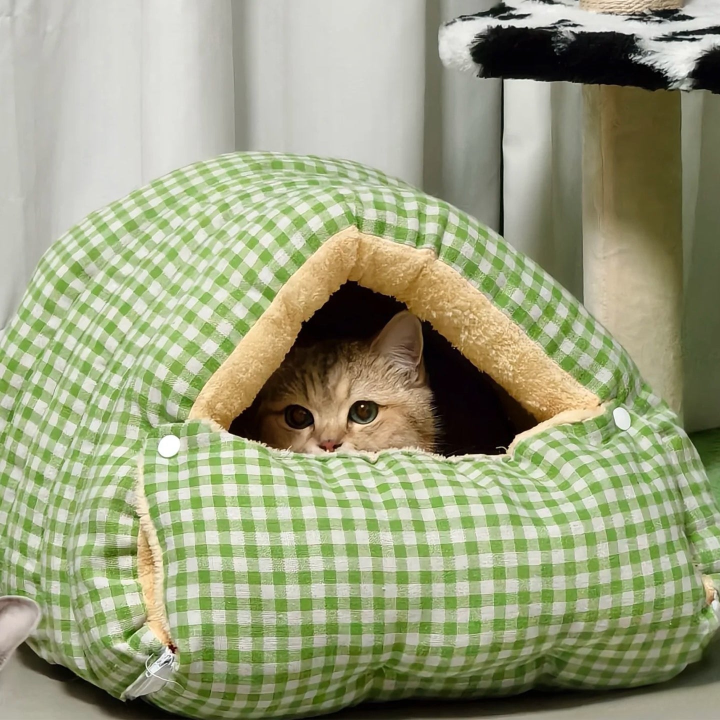 Detachable Warm Pet Bed – Cozy