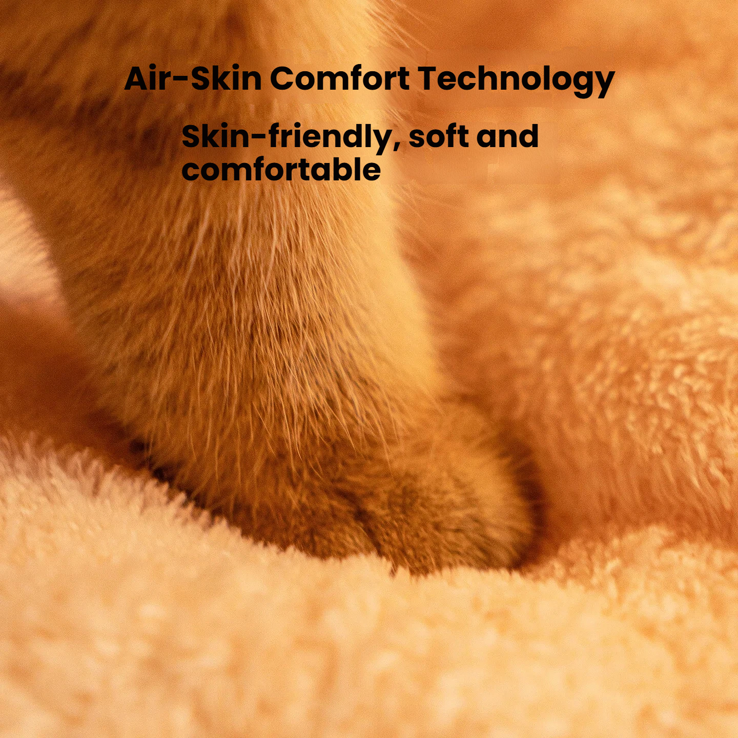 Detachable Warm Pet Bed – Cozy